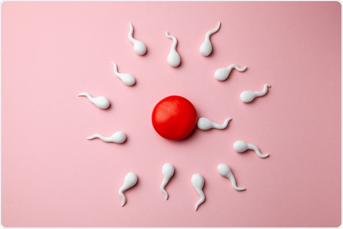 Las aplicaciones de fertilidad suelen ser imprecisas, según un estudio