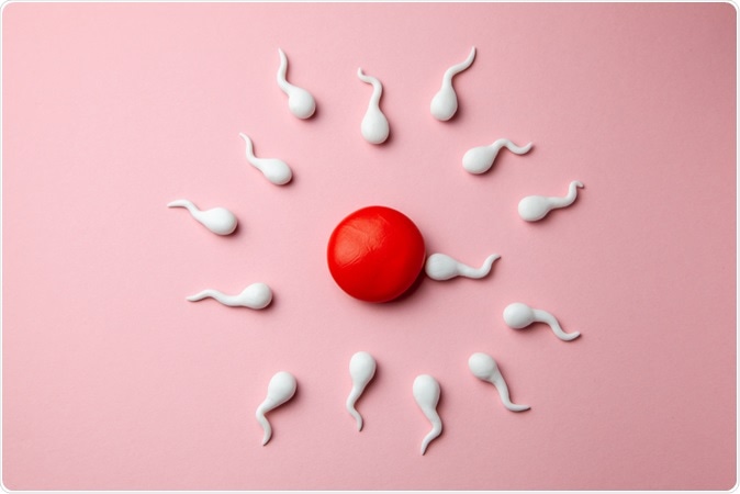 Las aplicaciones de fertilidad suelen ser imprecisas, según un estudio