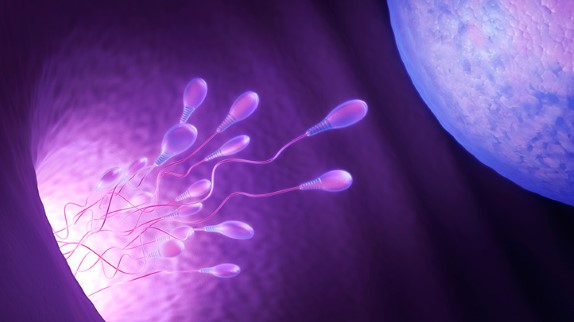 Los 7 mejores tratamientos de fertilidad