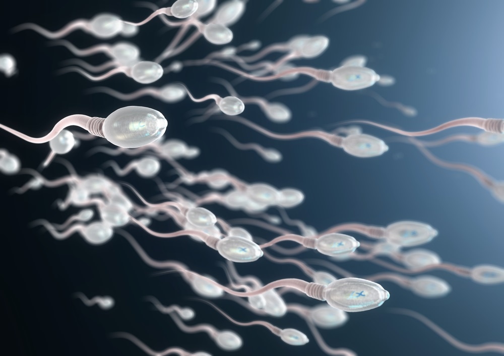 Una proteína clave en la producción de esperma podría ayudar en los tratamientos de la infertilidad masculina