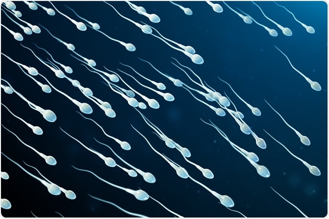 El microbioma del esperma, al descubierto gracias a la secuenciación del ARN