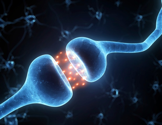 La kisspeptina puede potenciar las vías cerebrales de la atracción humana, según un estudio