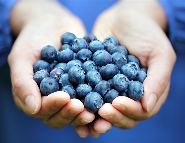 Un antioxidante natural revierte en gusanos los daños reproductivos causados por la exposición al BPA