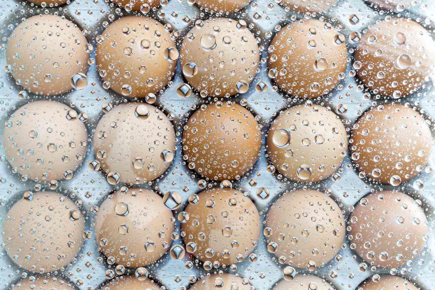 Congelar los huevos: 5 cosas que debes saber