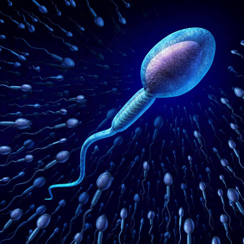 El ARTE de las pruebas de fertilidad masculina
