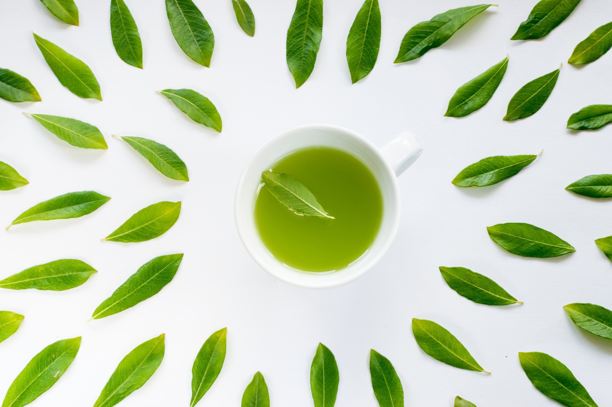 El té verde tiene potencial como tratamiento de los fibromas uterinos, el síndrome de ovario poliquístico y los síntomas de la menopausia