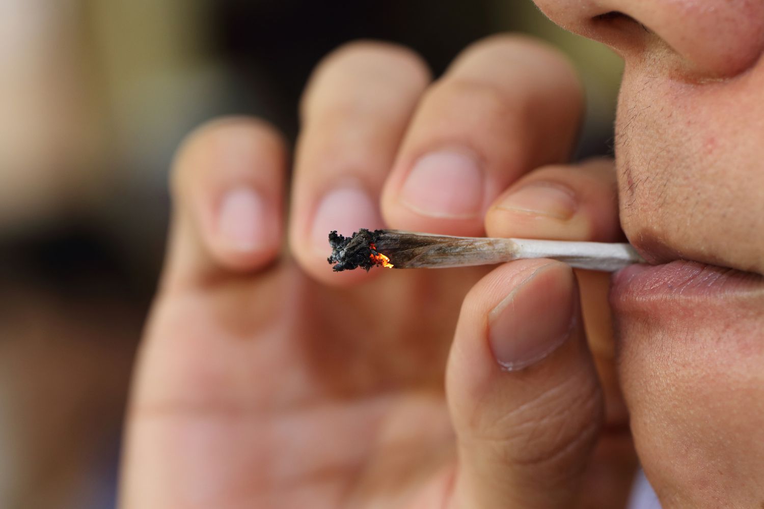 La marihuana sí afecta a los espermatozoides de los hombres, y así es cómo