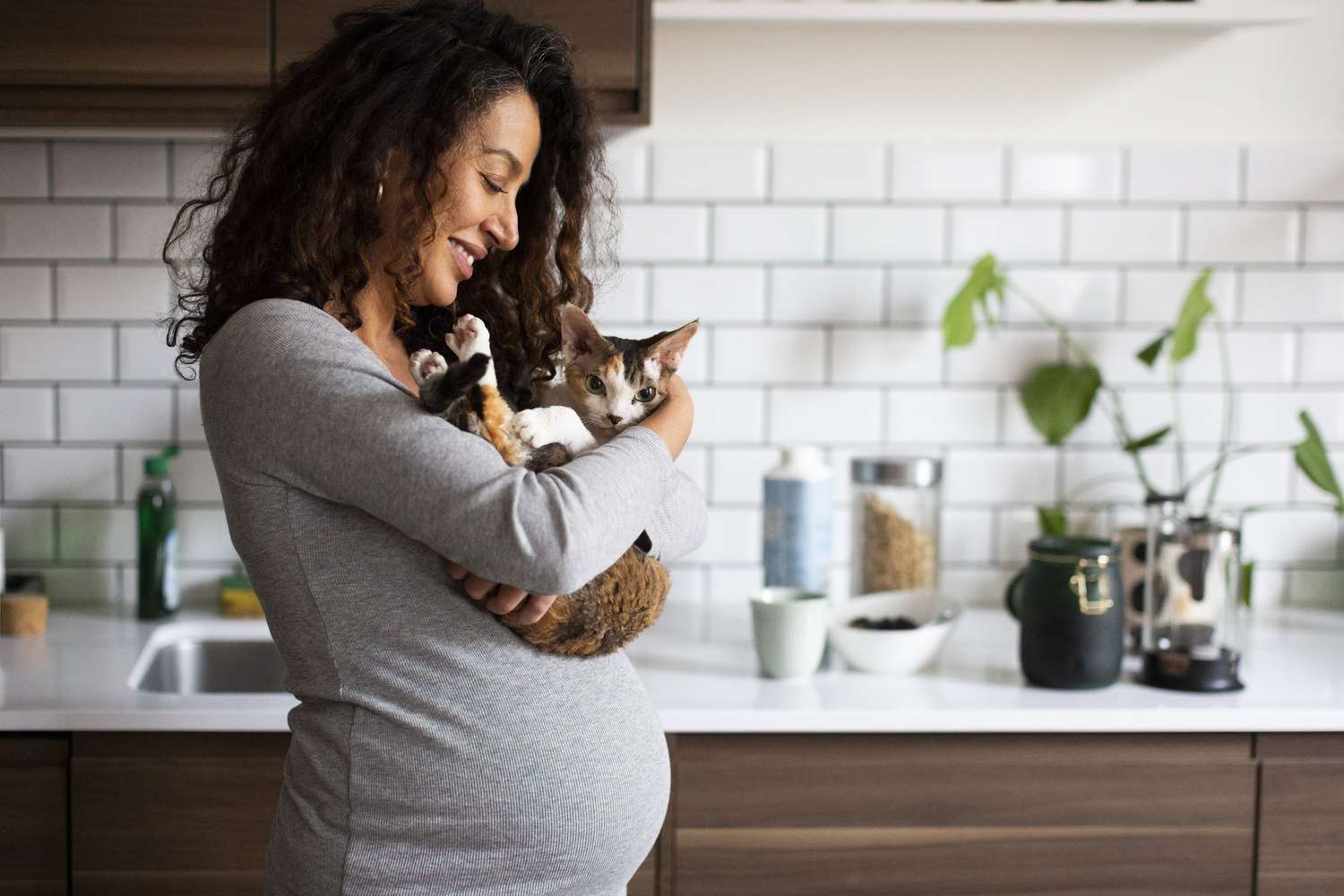 Embarazo y arena para gatos: Todo lo que debe saber
