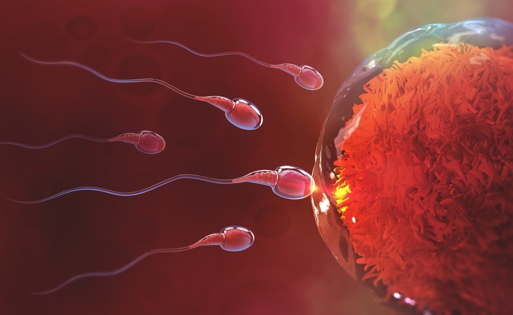 Study: On-demand male contraception via acute inhibition of soluble adenylyl cyclase. Image Credit: Yurchanka Siarhei / Shutterstock.co