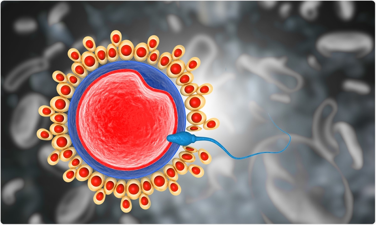 Study: BNT162b2 mRNA Covid-19 vaccine does not impair sperm parameters. Image Credit: Explode / Shutterstock