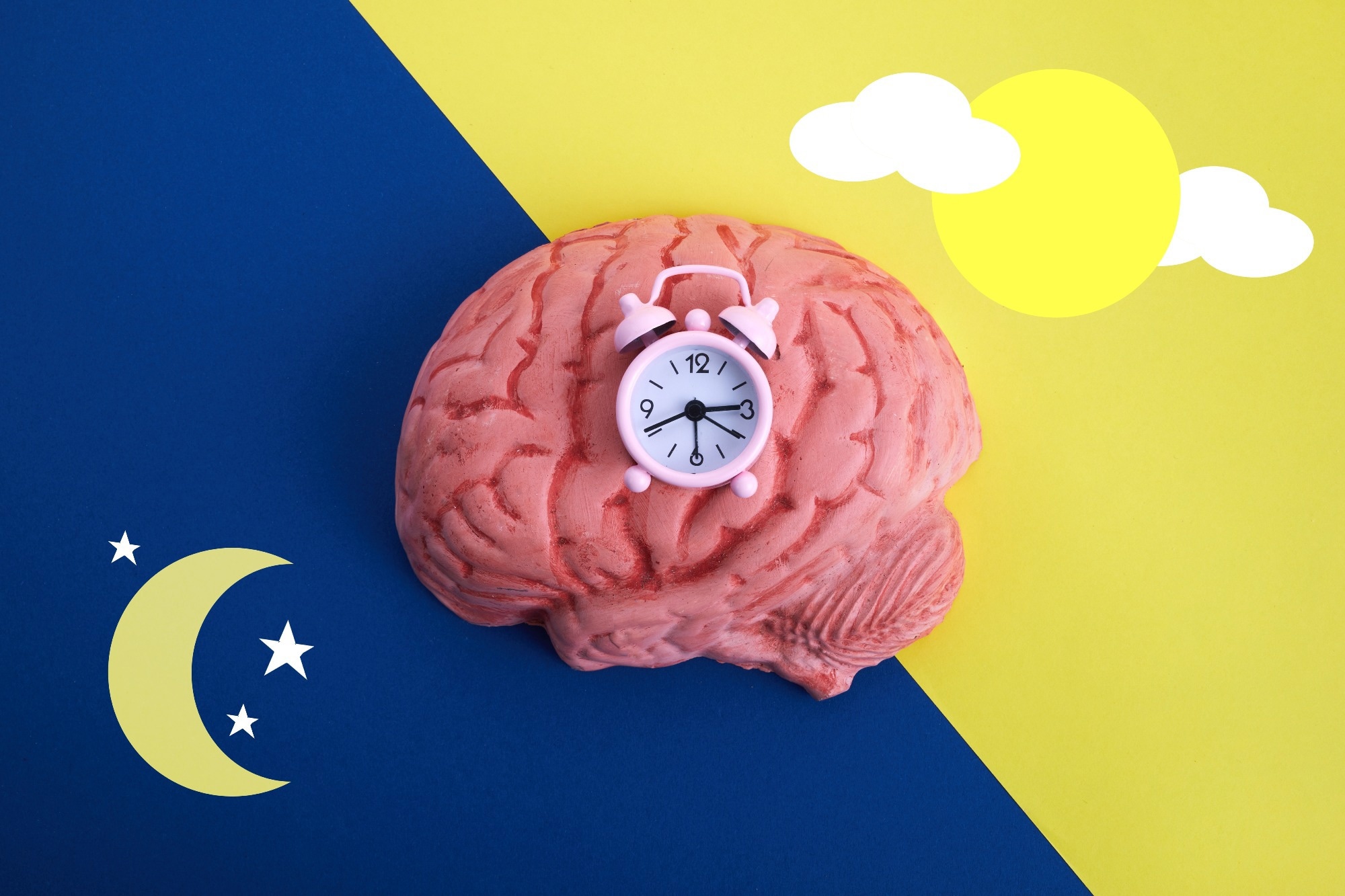 Study: Effect of circadian disruption on the hypothalamic control of reproduction in female mice. Image Credit: vetre / Shutterstock