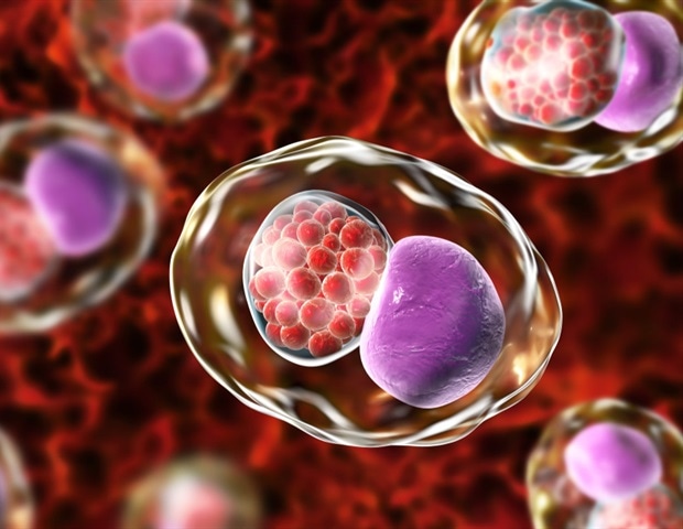 La vacuna contra la clamidia se muestra prometedora tras el éxito de un ensayo clínico