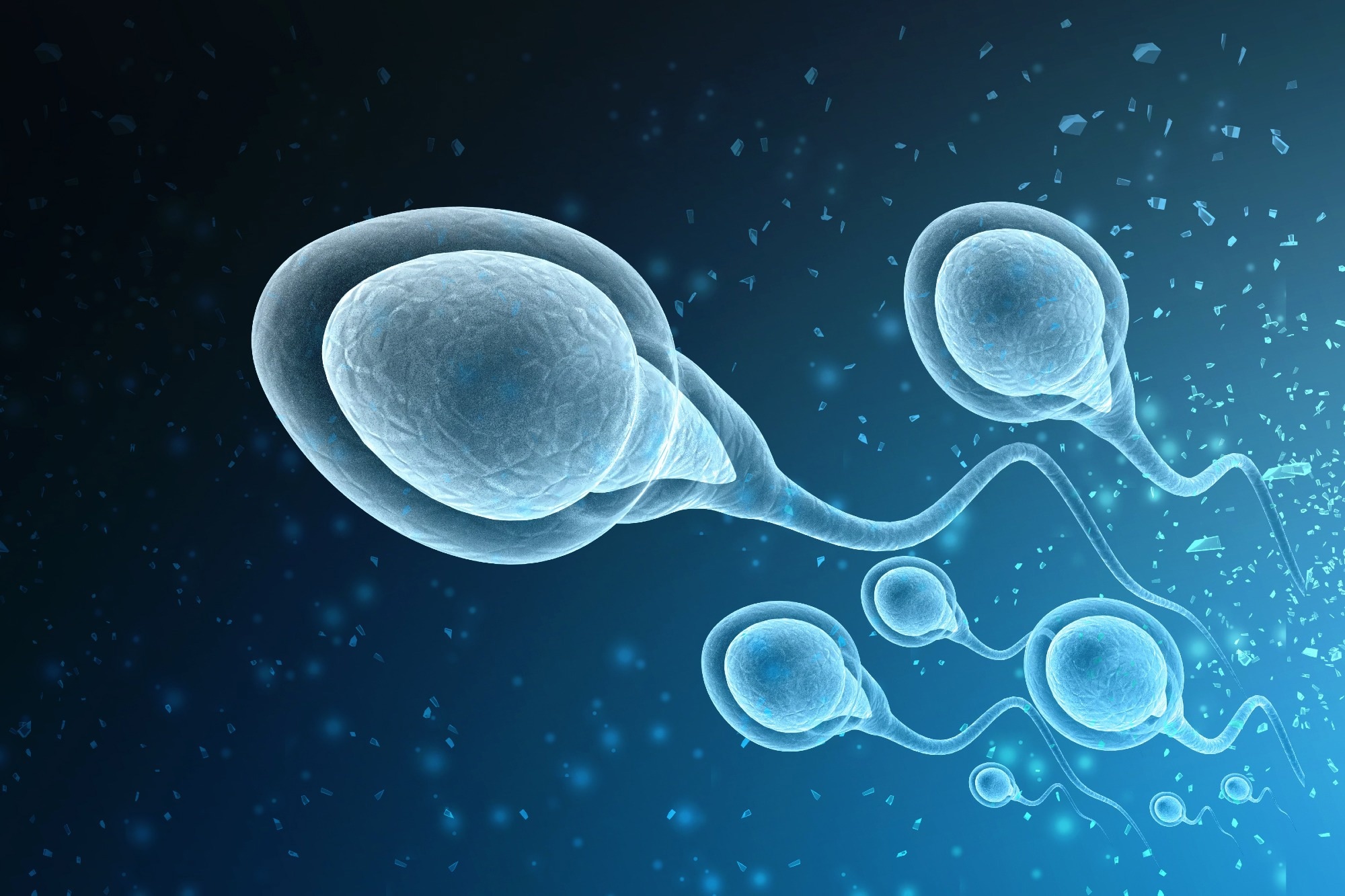 Los investigadores identifican una causa poco frecuente de infertilidad masculina y descubren una posible cura