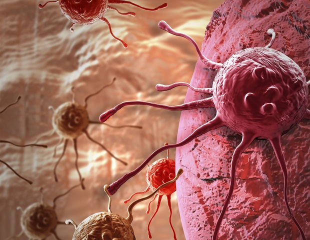La vía de señalización TGF-beta en células uterinas protege contra el cáncer