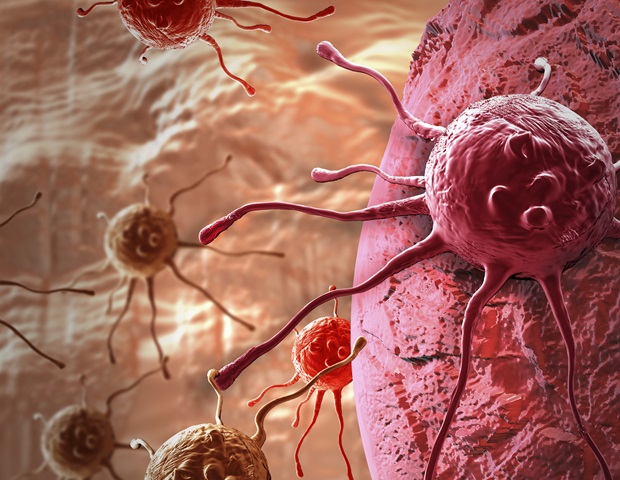 El Instituto del Cáncer de Rutgers informa a los supervivientes de cáncer infantil sobre los efectos tardíos del tratamiento
