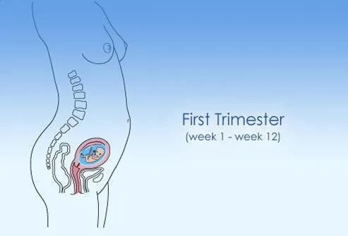 Primer trimestre