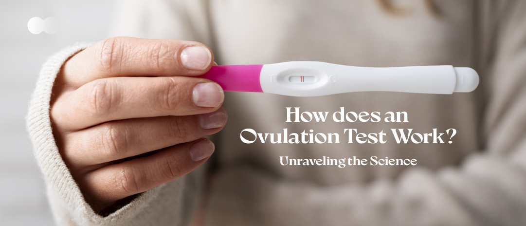 ¿Cómo Funciona una Prueba de Ovulación? Desentrañando la Ciencia